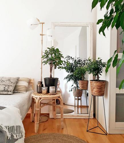 Urban Jungle in meiner Wohnung